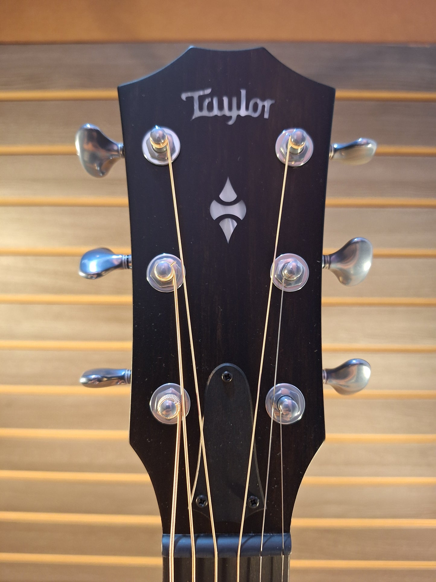 Taylor Builder's Edition 514ce Acoustic/Electric Guitar