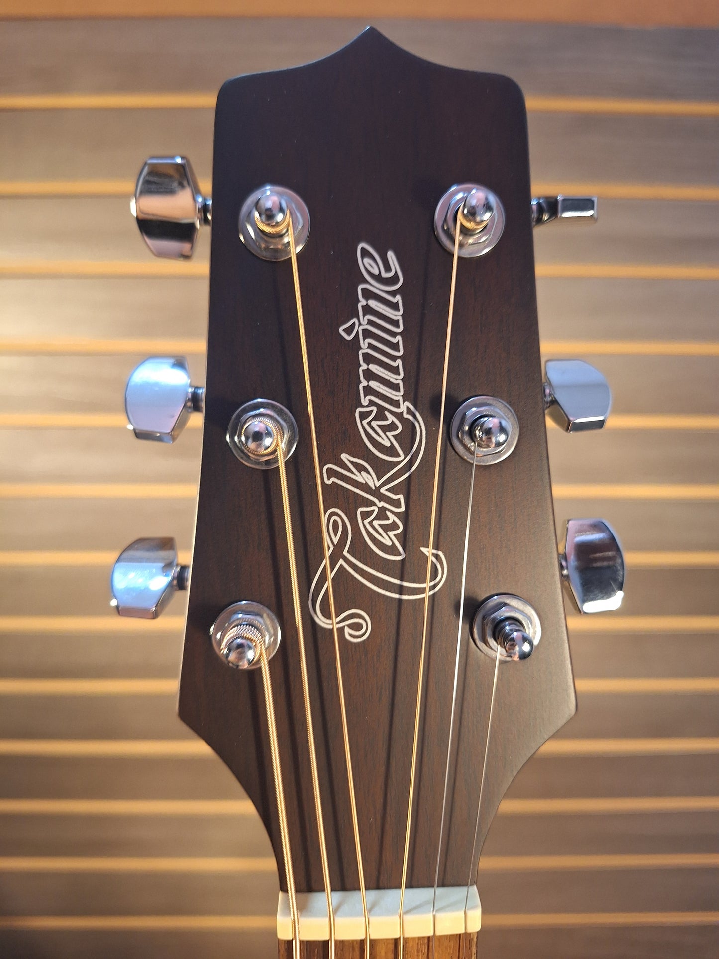 Takamine GD21CE SM G Series