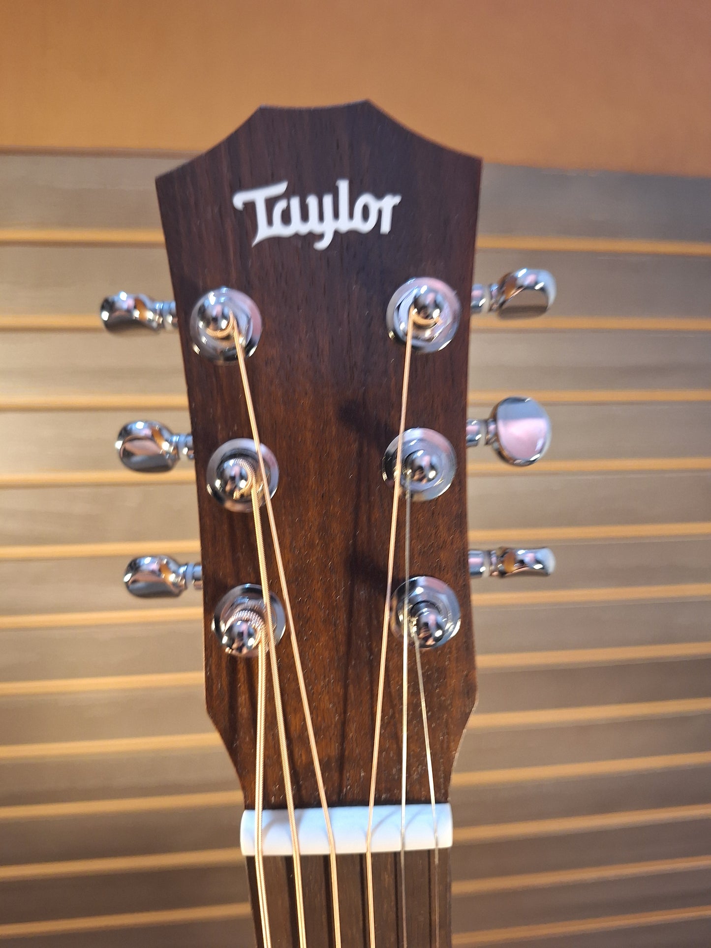 Taylor Baby BT1e Acoustic/Electric Guitar