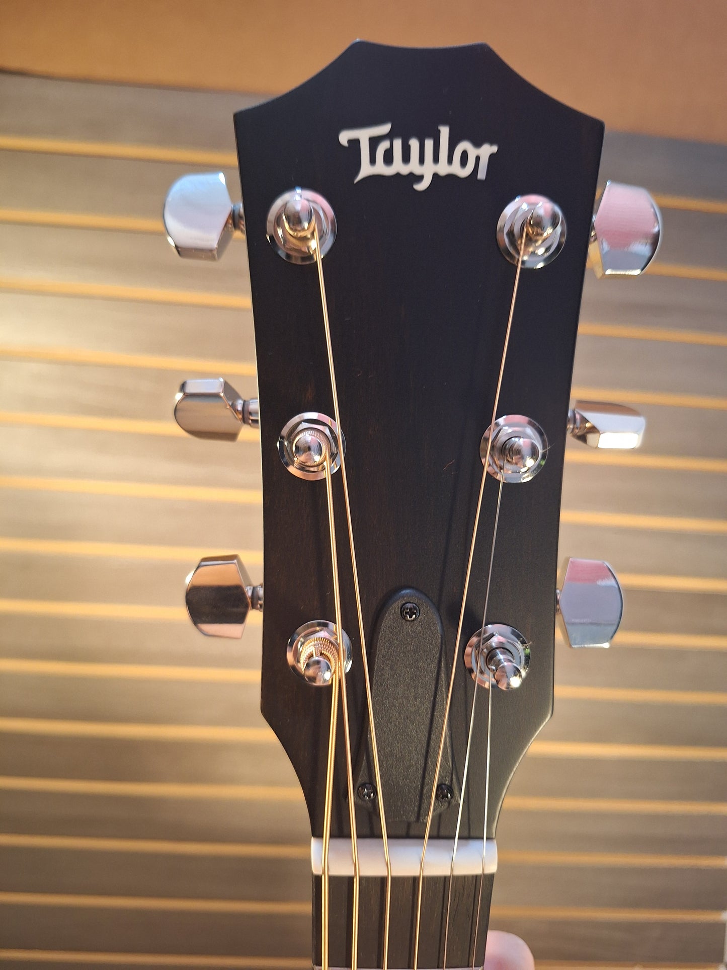 Taylor 414ce Studio Natural Acoustic Electric Guitar