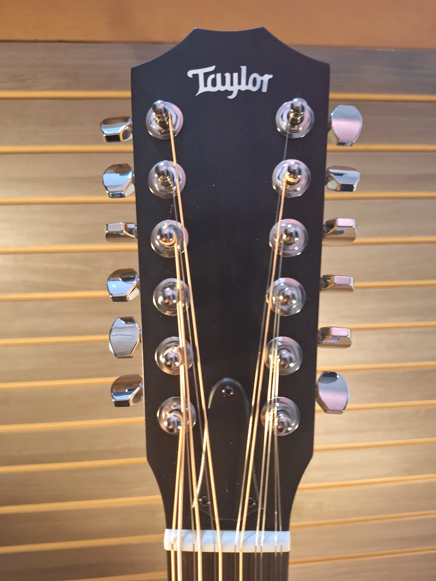 Taylor 150ce Acoustic/Electric Guitar 12 String