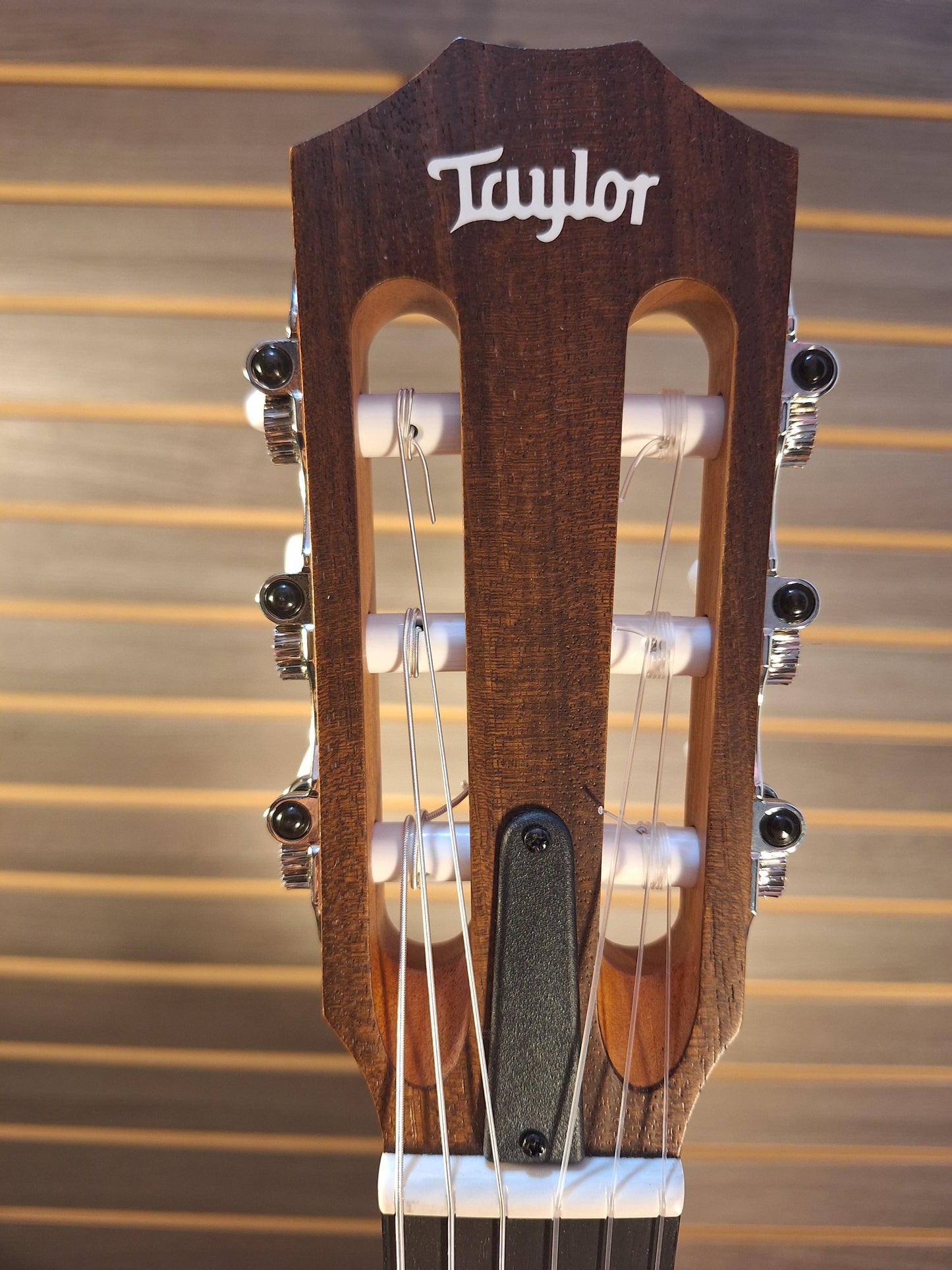 Taylor 12e-N  Academy Acoustic/Electric Guitar
