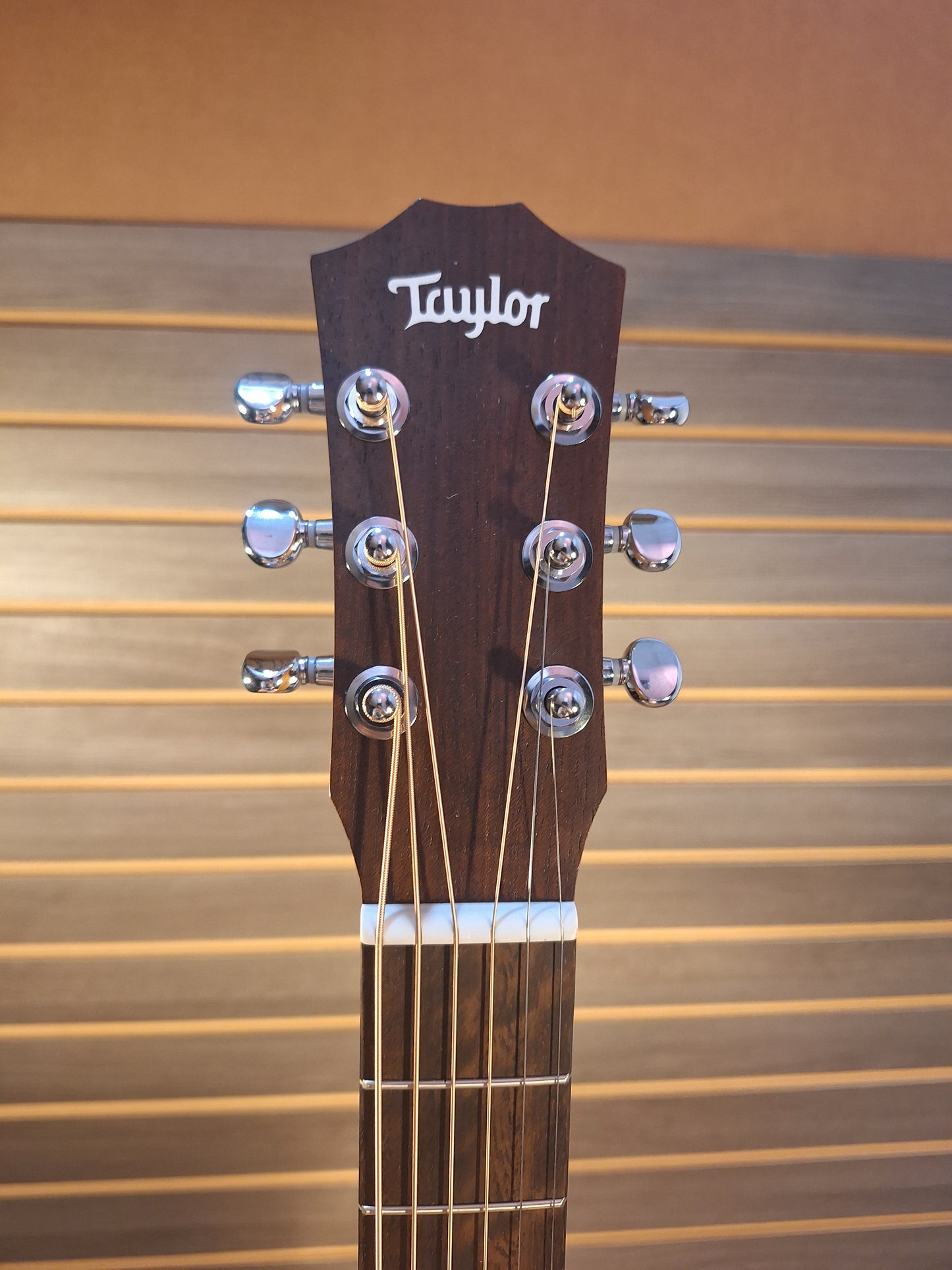 Taylor Baby BT1 Acoustic Guitar
