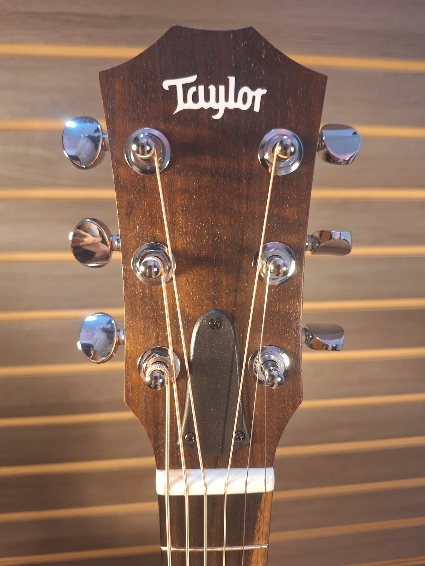 Taylor GS Mini Sapele  Acoustic Guitar