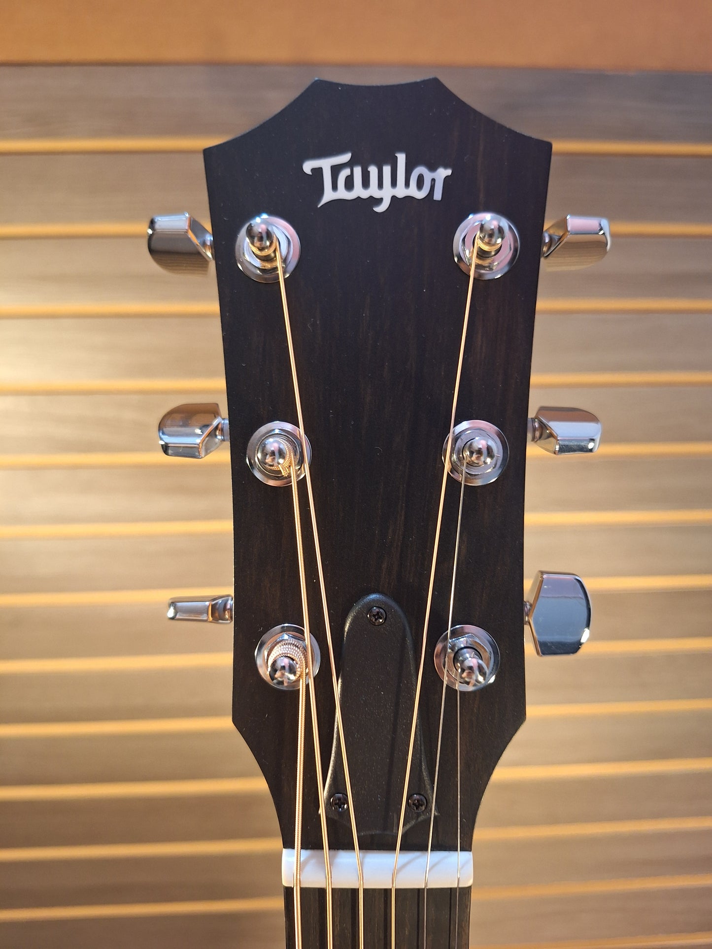 Taylor 214ce Acoustic/Electric Guitar