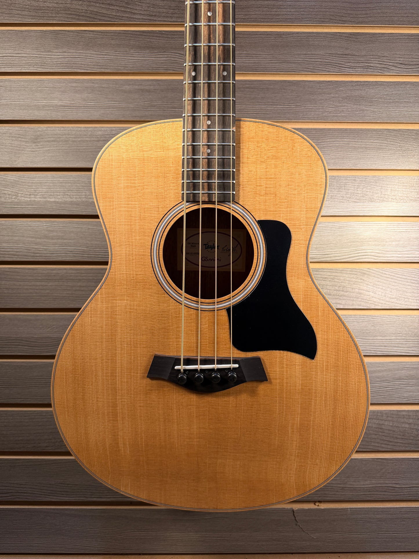 Taylor GS Mini-e Bass With Premium Gig Bag