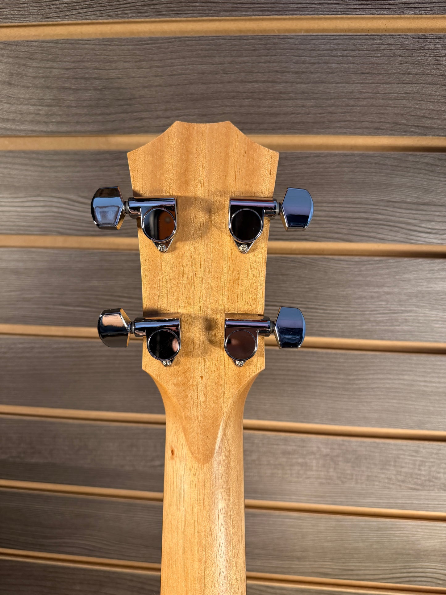 Taylor GS Mini-e Bass With Premium Gig Bag