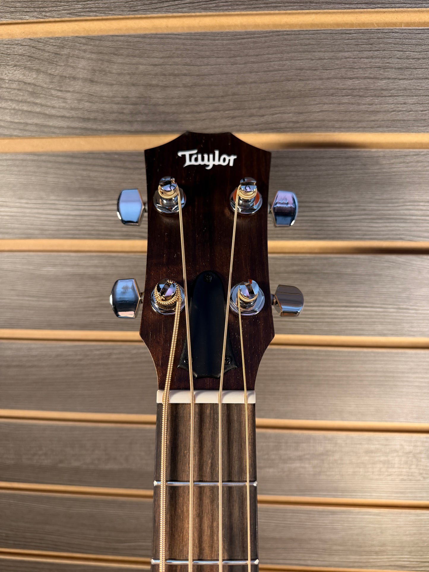 Taylor GS Mini-e Bass With Premium Gig Bag