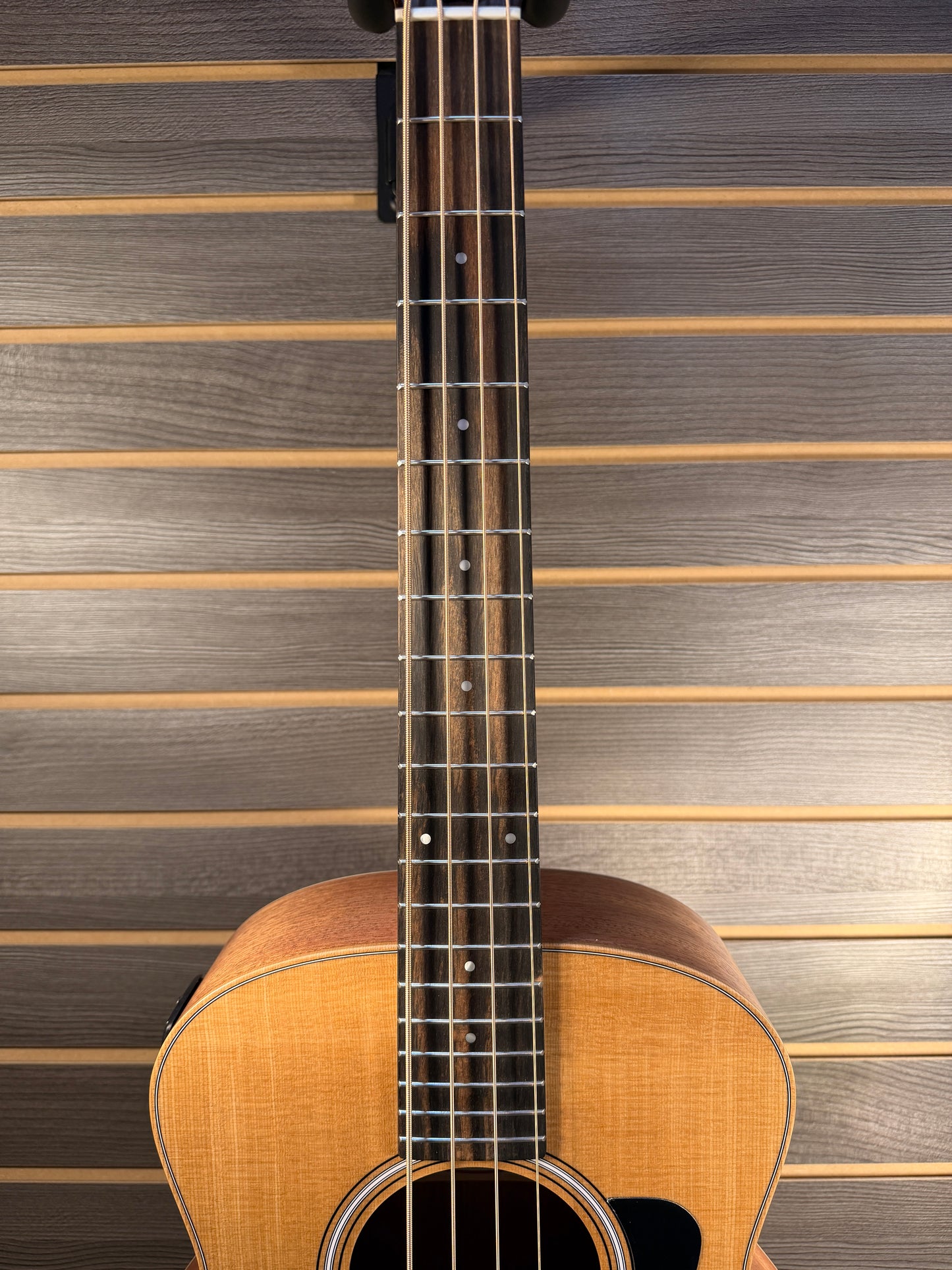 Taylor GS Mini-e Bass With Premium Gig Bag