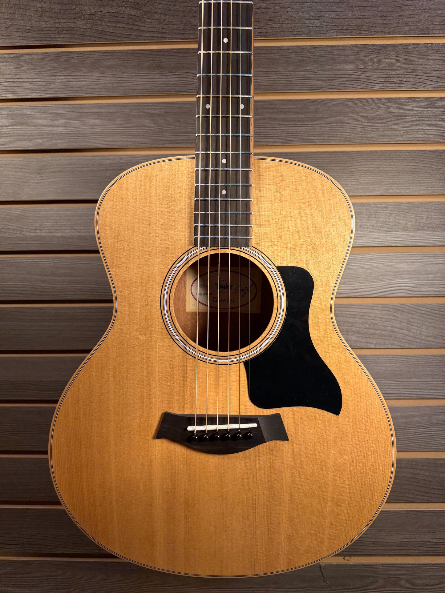 Taylor GS Mini Guitar Sapele/Spruce With Premium Gig Bag