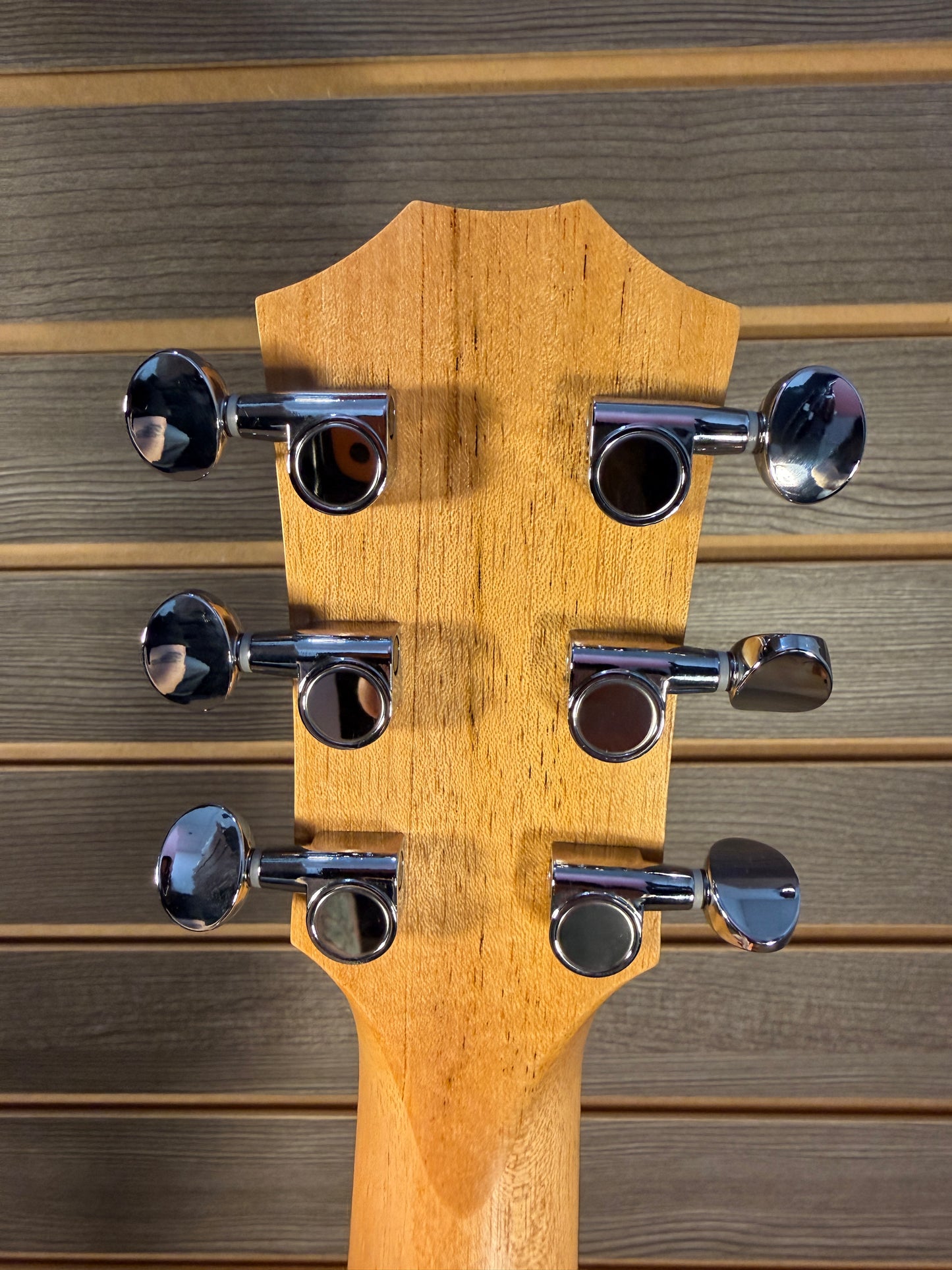 Taylor GS Mini Guitar Sapele/Spruce With Premium Gig Bag