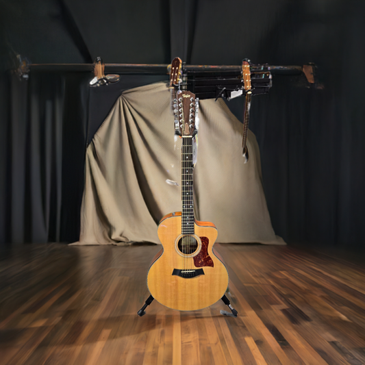 Previously Owned Taylor 12 String 355CE Acoustic/Electric Guitar