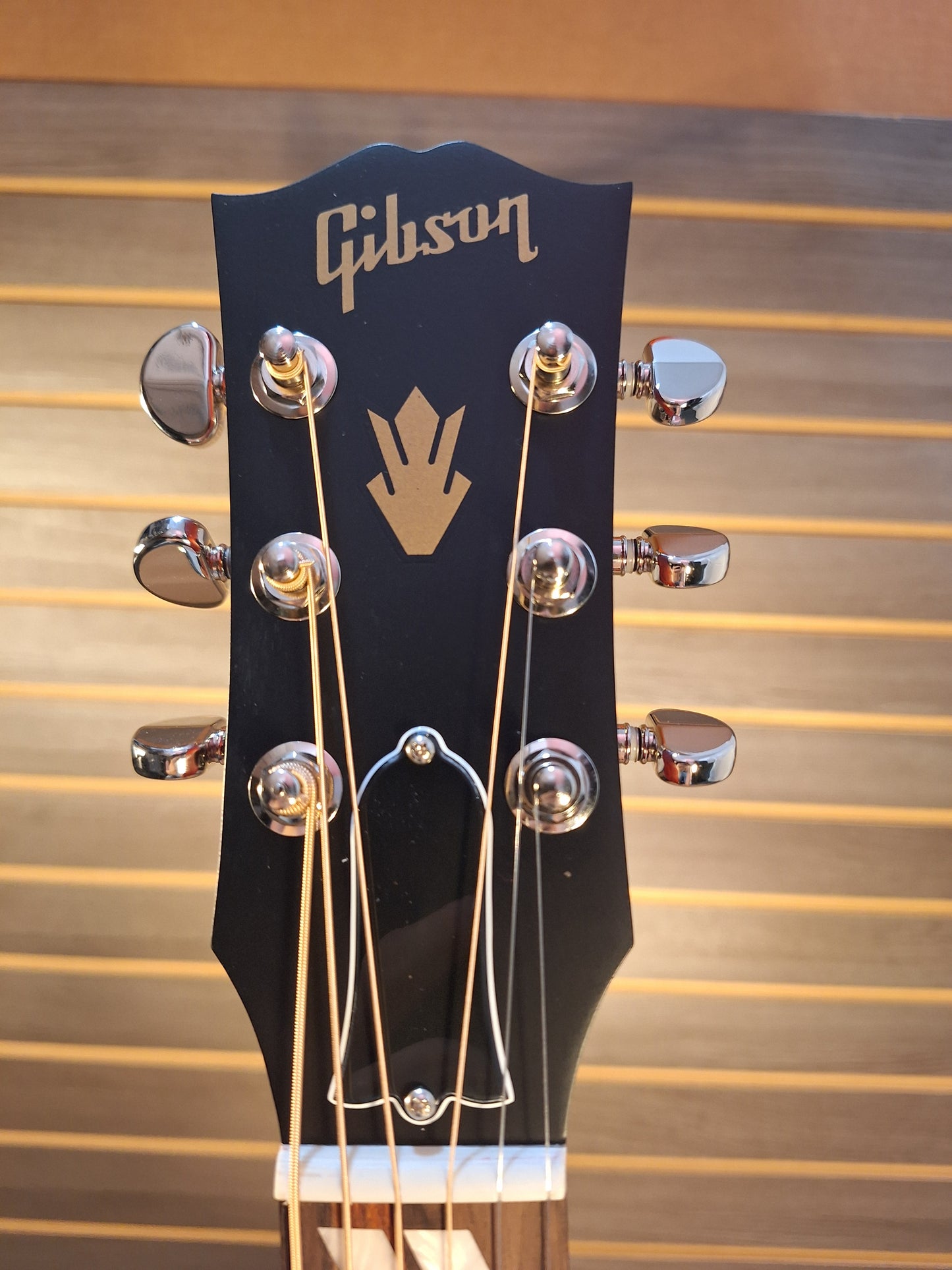 Gibson Hummingbird Special With Gigbag