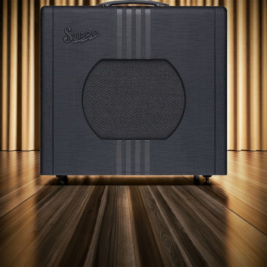 Supro Delta King 10 5 Watt Amp With Reverb Black and Black