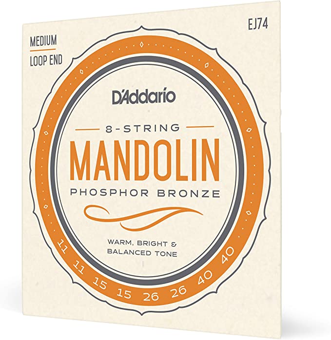 D'Addario Mandolin Medium Loop End Strings EJ67