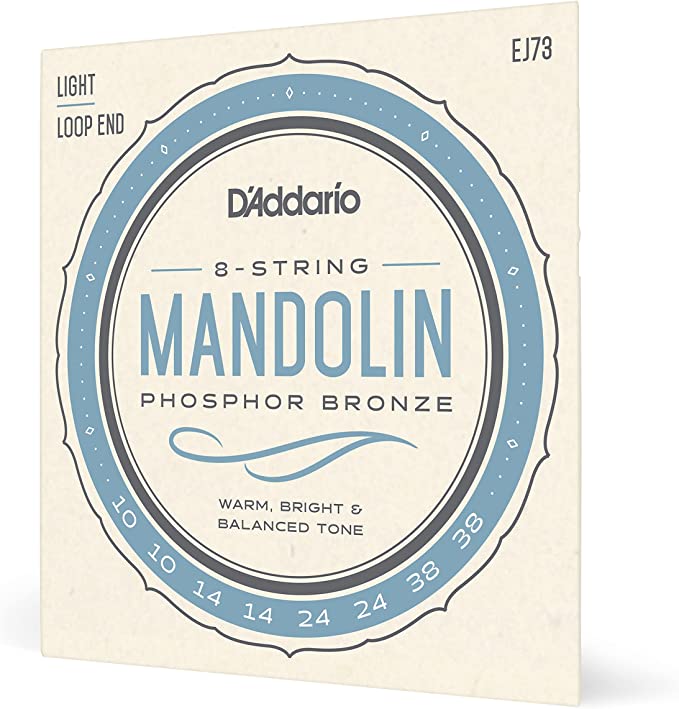 D'Addario Mandolin Light Loop End Strings EJ73